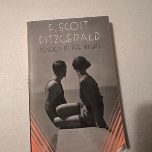 'Tender is the Night' Book - Gray and Orange Cover
